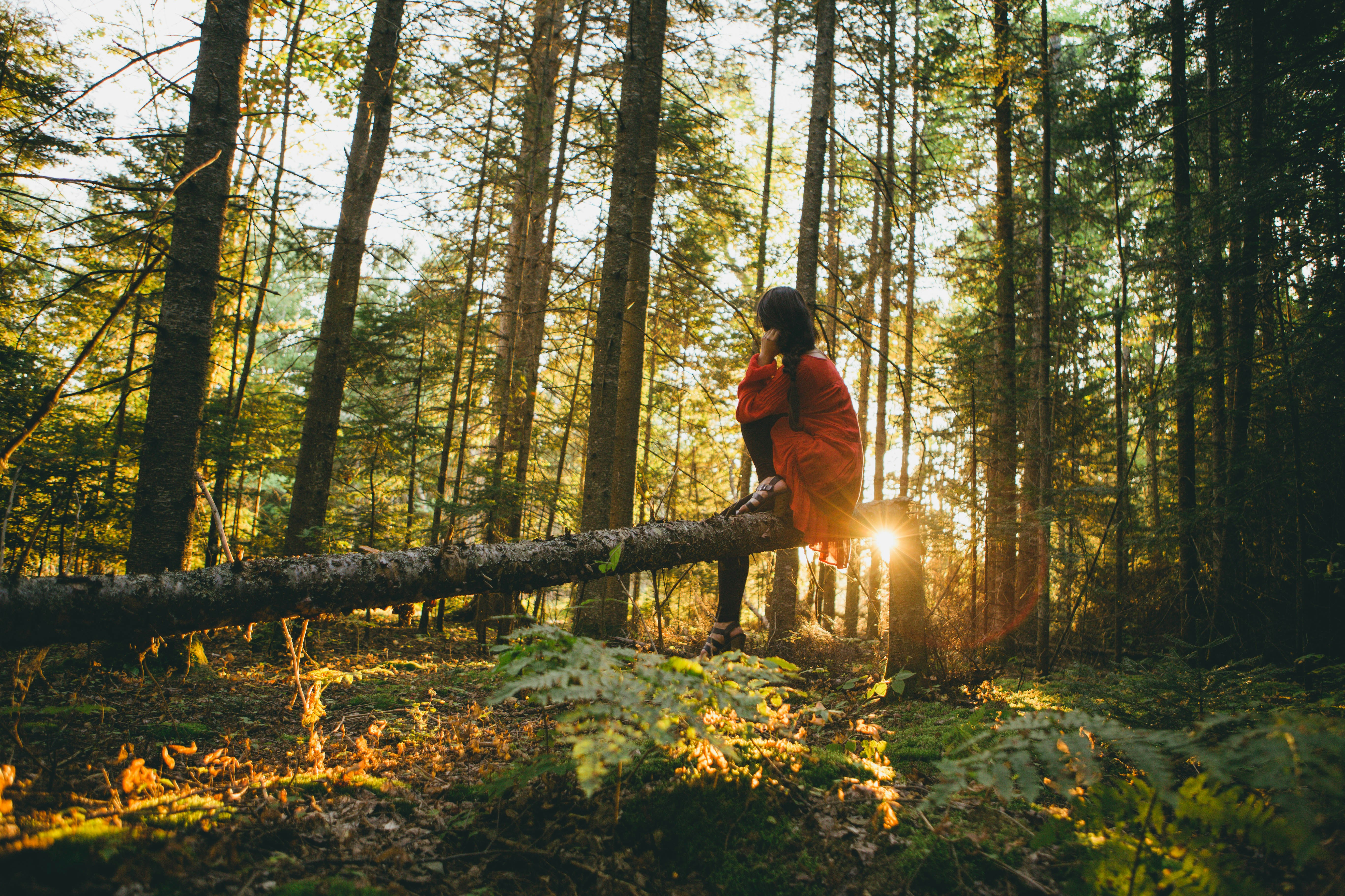 Getting close to nature